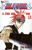 Bleach 11: A Star And A Stray Dog