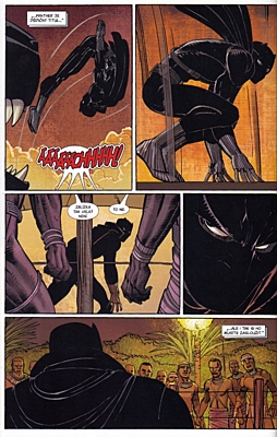 UKK 50 - Black Panther: Kdo je Black Panther? (35)
