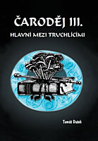 Čaroděj 3: Hlavní mezi truchlícími