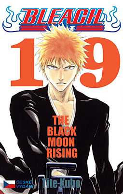 Bleach 19: The Black Moon Rising