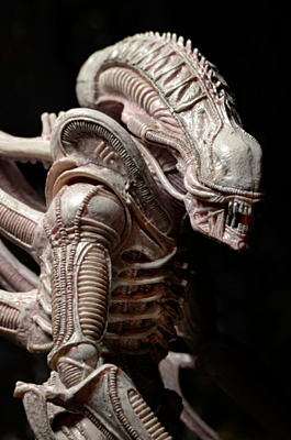 Aliens - Xenomorph - Albino Drone (51614)
