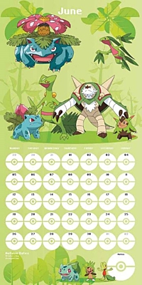 Pokémon - nástěnný kalendář 2017