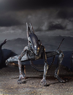 Alien: Covenant - Xenomorph Action Figure (51658)