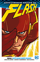Znovuzrození hrdinů DC - Flash 1: Když blesk udeří dvakrát
