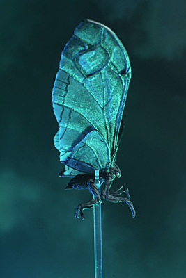 Godzilla 2019 - Mothra Movie Poster Version Action Figure