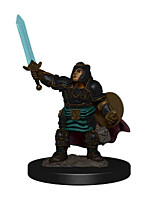 Figurka D&D - Dwarf Female Paladin - Painted (Dungeons & Dragons: Icons of the Realms)